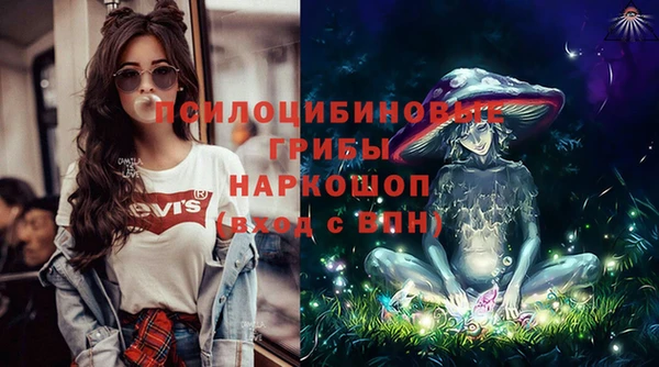 стаф Алексеевка