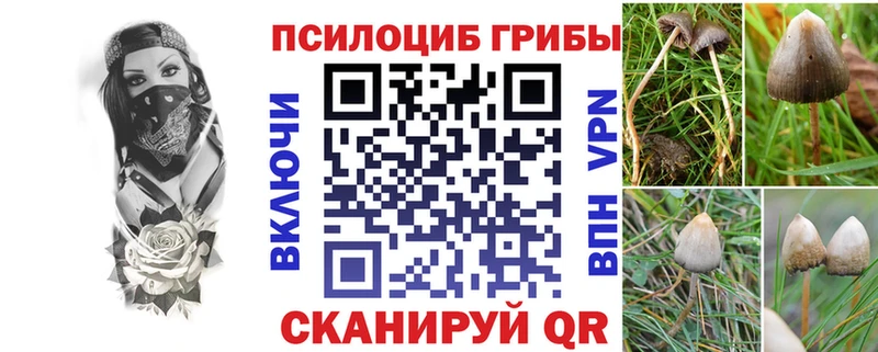 гидра маркетплейс Мамоново Галлюциногенные грибы Psilocybe